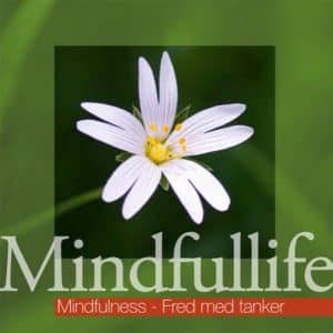 Mindfulness – Fred med tanker (Mindfullife)