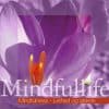 Mindfulness - Lethed og glæde (Mindfullife)
