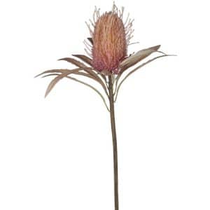 Chic Antique Banksia blomst – rosa