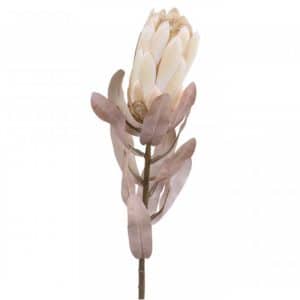 Chic Antique Protea blomst