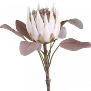 Chic Antique Protea blomst – creme