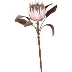 Chic Antique Protea blomst – rosa