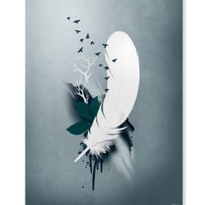 Plakat / canvas / akustik: Fjer og fugle (Earth)