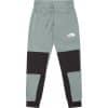 The North Face Hmlyn Pant Sweatpants Grøn