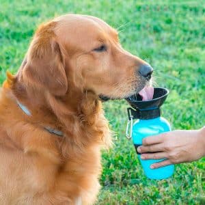 Vand dispenser flaske til hunde