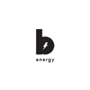 B.energy