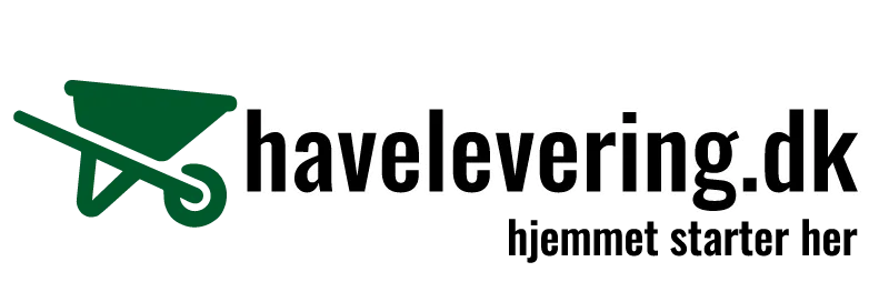 You are currently viewing Havelevering