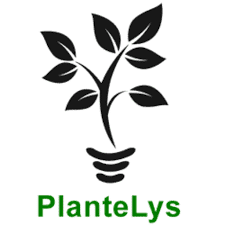 Plantelys