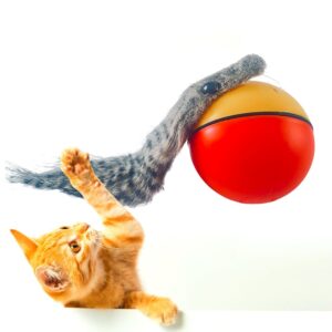 Bæverkugle – elektrisk legetøj til husdyr