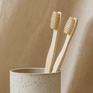 Bambustandbørste ∙ Natur
