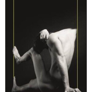 Fandens Karl – Skønlitteratur & Fiktion – booklet