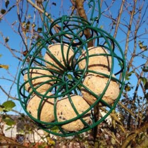 Foder ring til mejsekugler