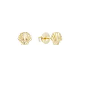 Golden Seashell Earrings, Gold