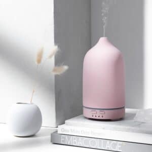 Premium Stendiffuser – blush