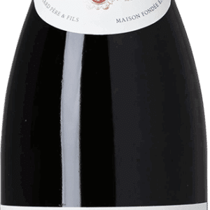 2020 Beaune Teurons, 1. Cru, Domaine Bouchard Père et Fils