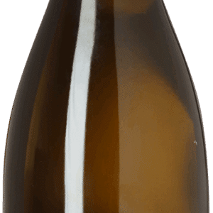 2021 Santenay Égregore, Domaine Antoine Olivier