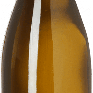 2022 Bourgogne Blanc, Les 2 dindes, Domaine Antoine Olivier