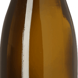 2022 Santenay, Clos Des Hâtes, Domaine Quentin Jeannot