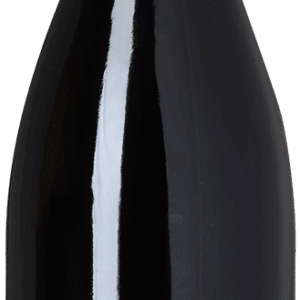 2022 Savigny les Beaune, Les Petits Liards, Domaine Antoine Olivier